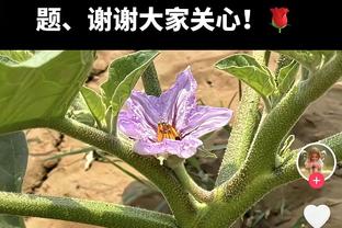 英雄迟暮！34岁张琳芃连续24场首发纪录终结，出场数暂停在105场